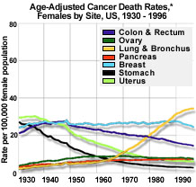 stats_Fgraph.jpg (19063 bytes)