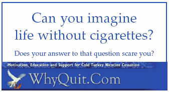 Explore WhyQuit.com